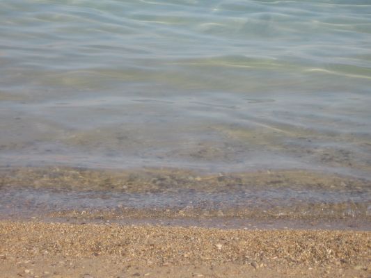 marea moarta 12.4.07 (1).jpg