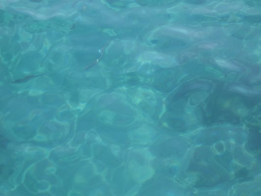 eilat 10.4.07 (36).jpg