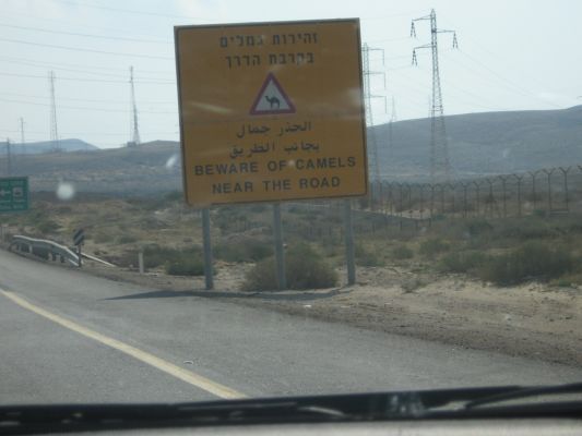 eilat 10.4.07 (6).jpg