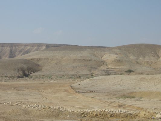 eilat 10.4.07 (9).jpg