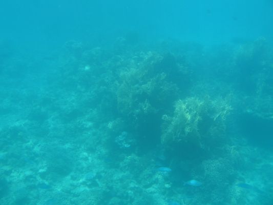 eilat 11.4.07 (29).jpg