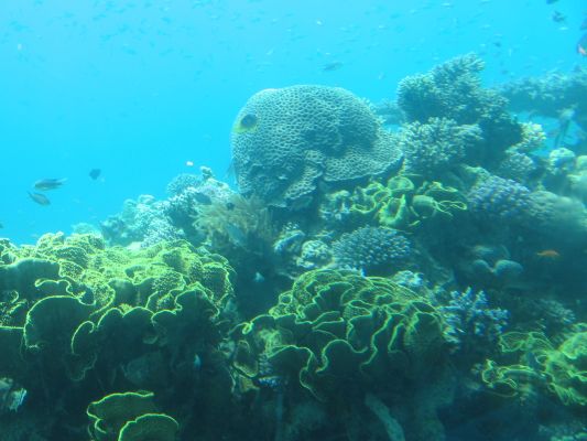 eilat 11.4.07 (39).jpg